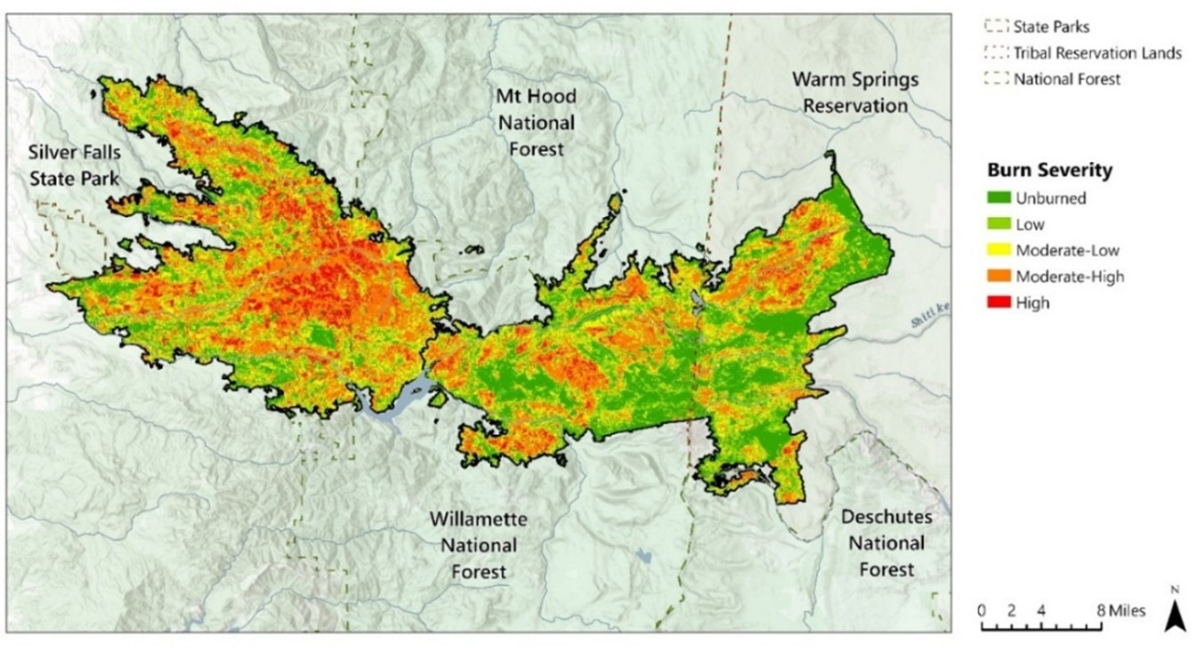 Burn severity overview map of the Beachie Creek–Lionshead Complex