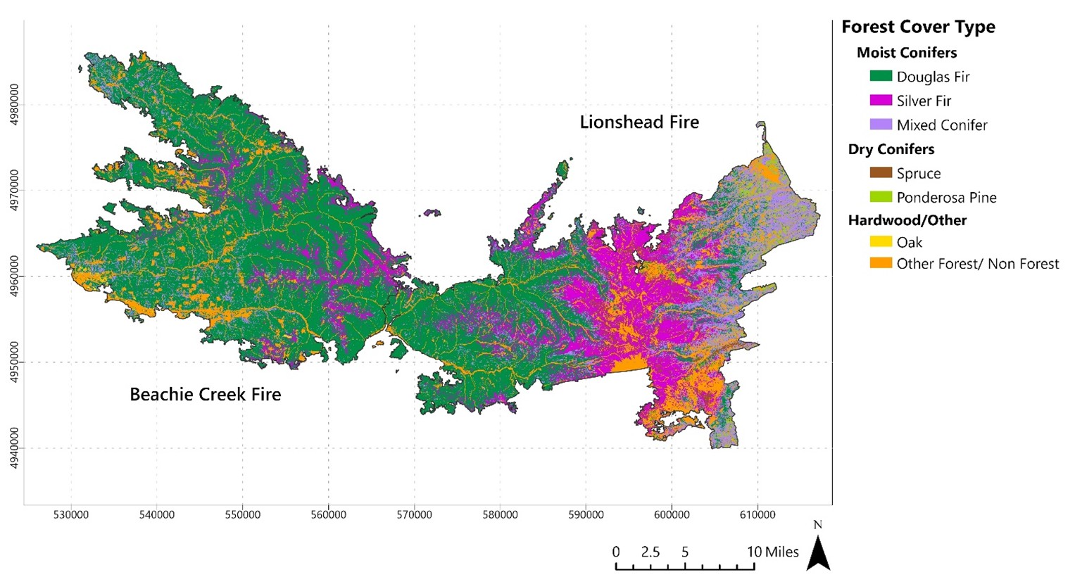 Ecological land cover map of the Beachie Creek–Lionshead area in 2018